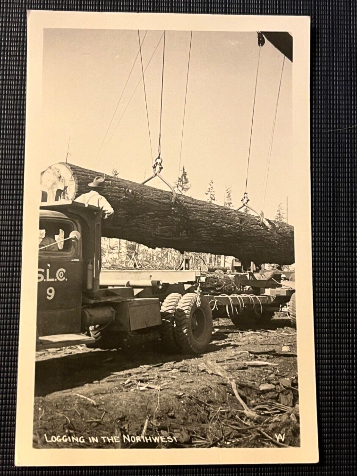 RPPC LOGGING IN THE NORTHWEST CIRCA 1945 PACIFIC TIMBER