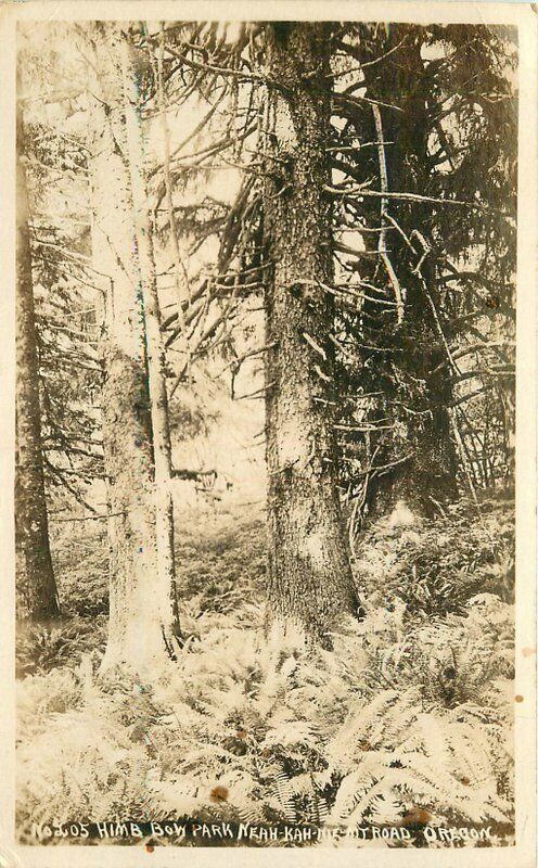 Oregon Himb Boy Park Neah Kah road 1925 Andrews RPPC Photo Postcard 22-3708
