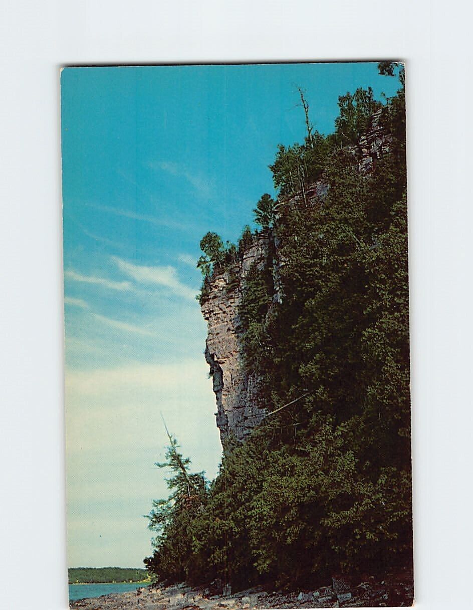 Postcard Wooded Bluffs Wisconsin USA