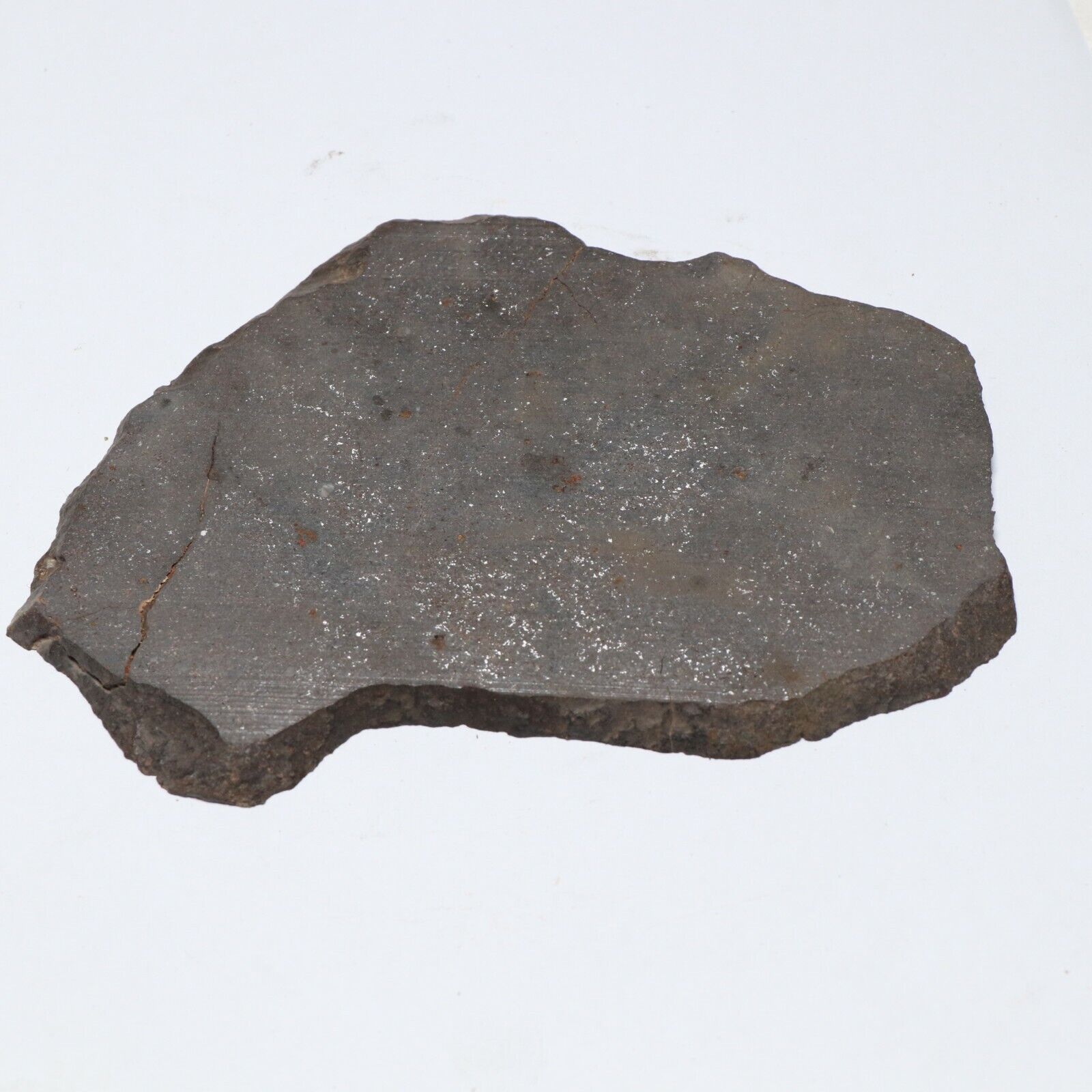 125 gram Unclassified NWA Meteorite Slice  A5199