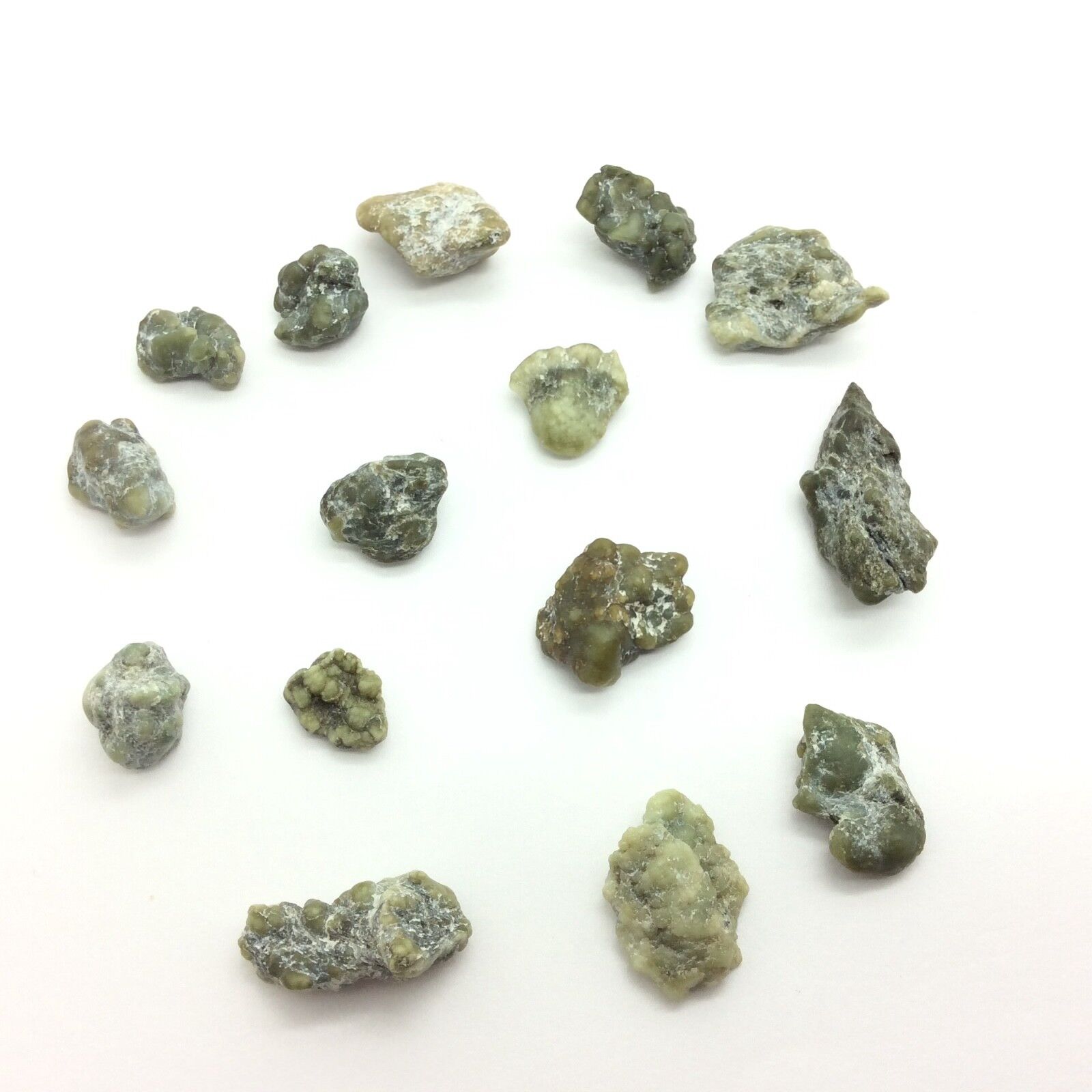Trinity Alps Botryoidal Jade Stone Lot Green Nephrite Bubble Gem Specimen CA #7