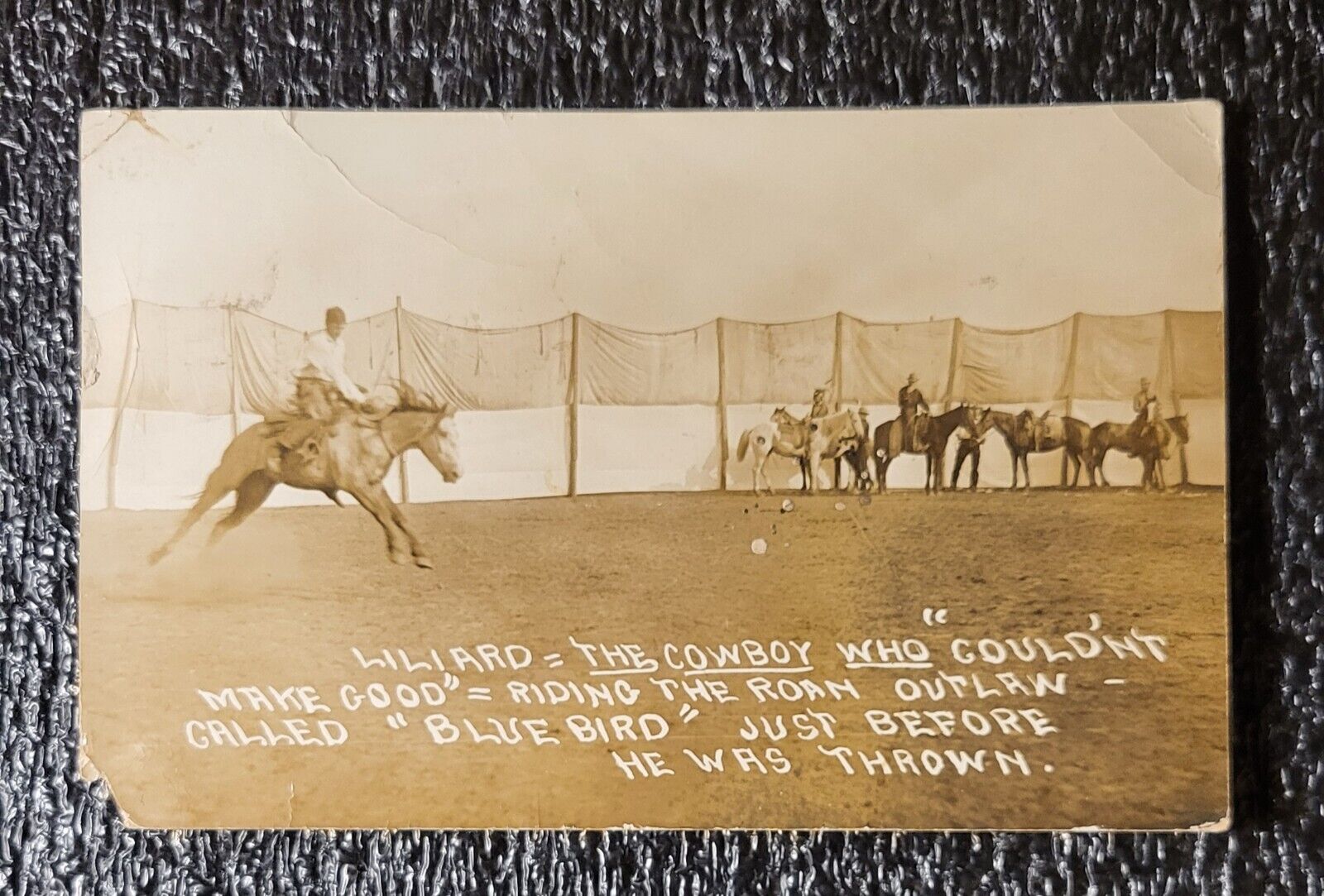 1912 Real Photo Postcard Liliard The Cowboy Blue Bird Horse Antique RPPC