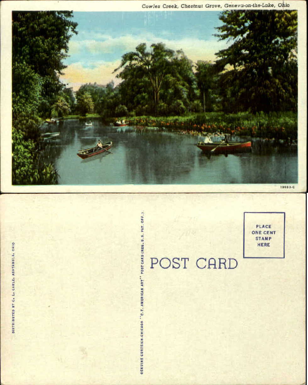 Cowles Creek Chestnut Grove Geneva-on-the-Lake Ohio OH unused old postcard