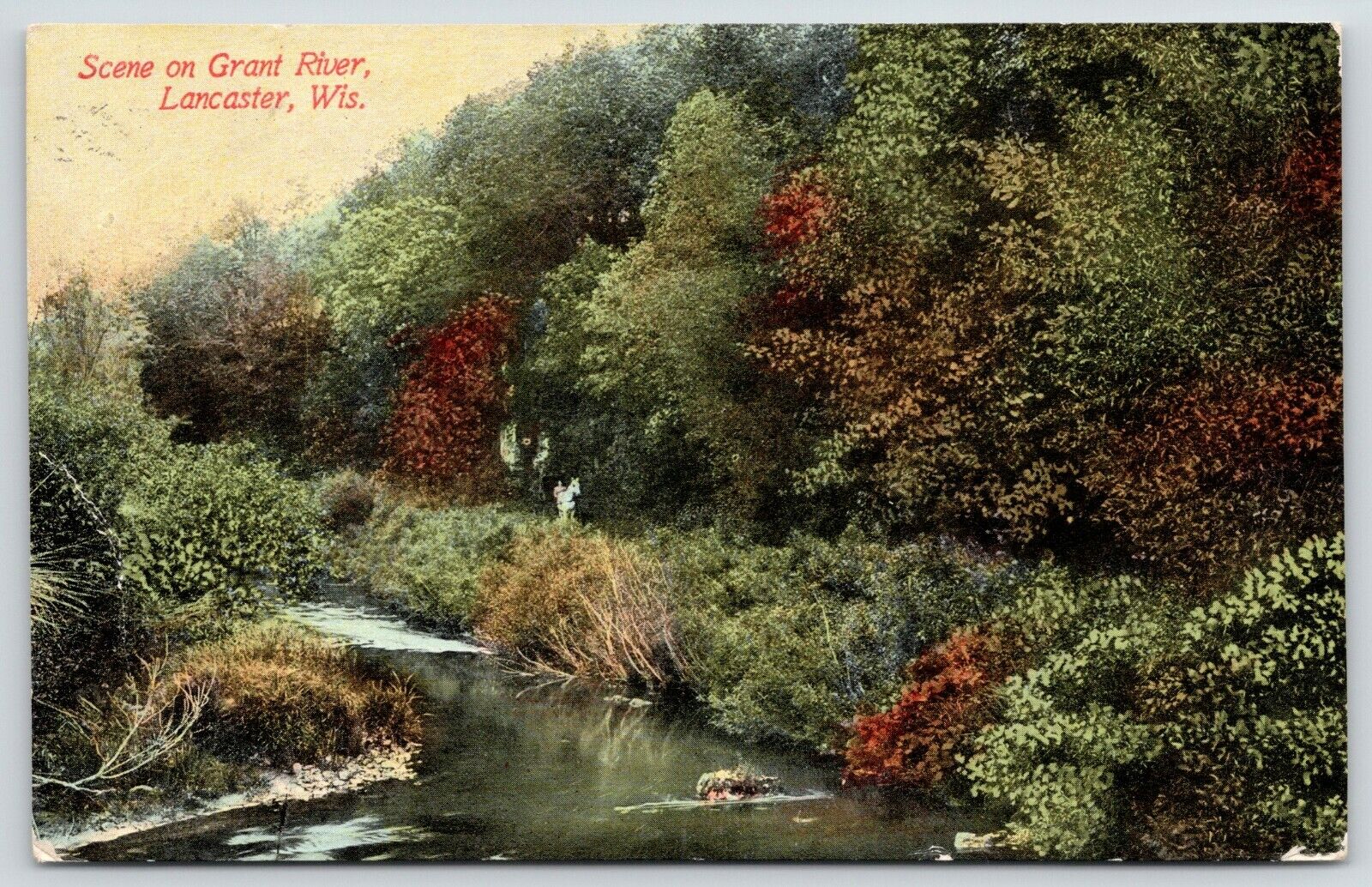 Lancaster Wisconsin~Scenic View along Grant River~Trees Thick on Bank~1911