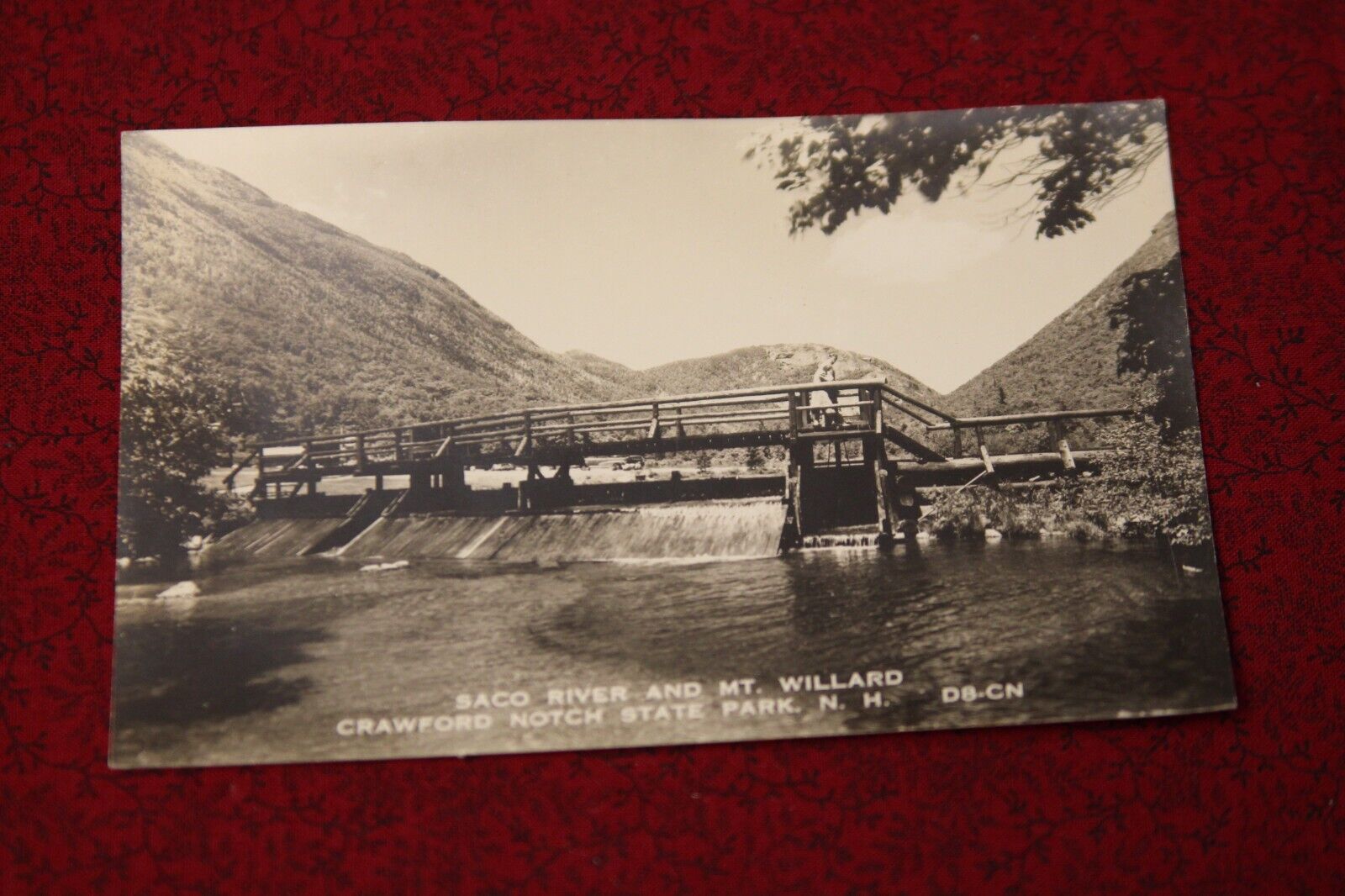 Saco River, Mt. Willard Crawford Notch State Park, New Hampshire Postcard