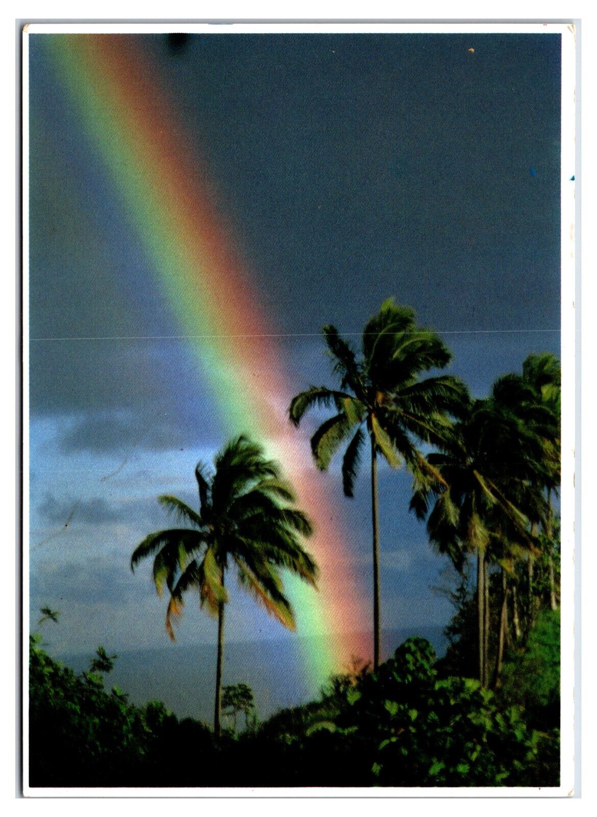 Vintage 1990s - Brilliant Rainbow In Hawaii Postcard (UnPosted)