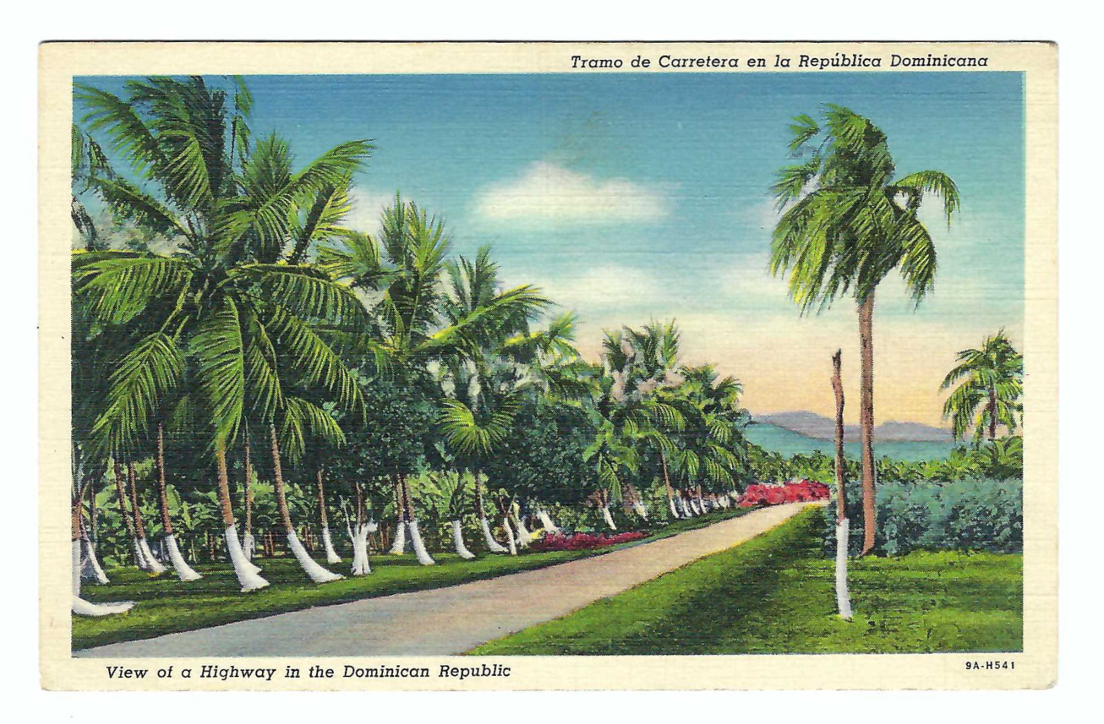 View of the Highway in the Dominican Republican Old Vintage Postcard