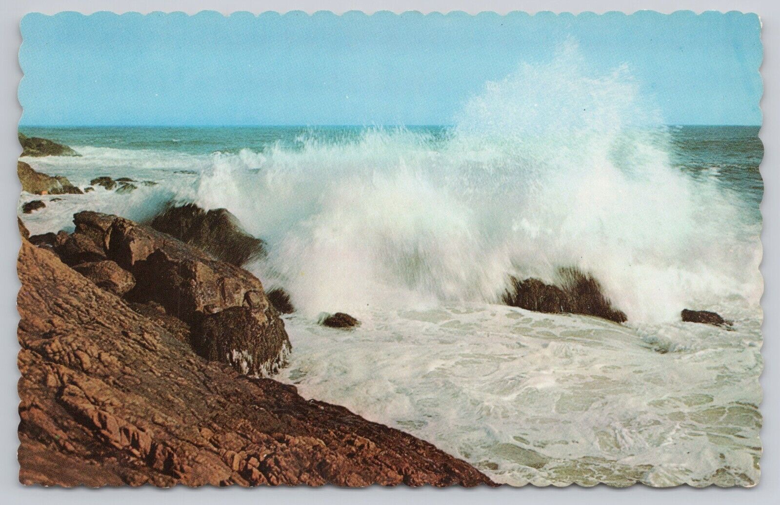 Postcard Rugged Coastline of New Brunswick Canada