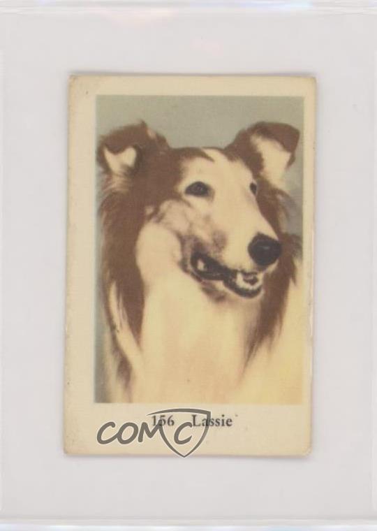 1961 Dutch Gum Numbered Set 3 (1-300) Lassie #156 f5h