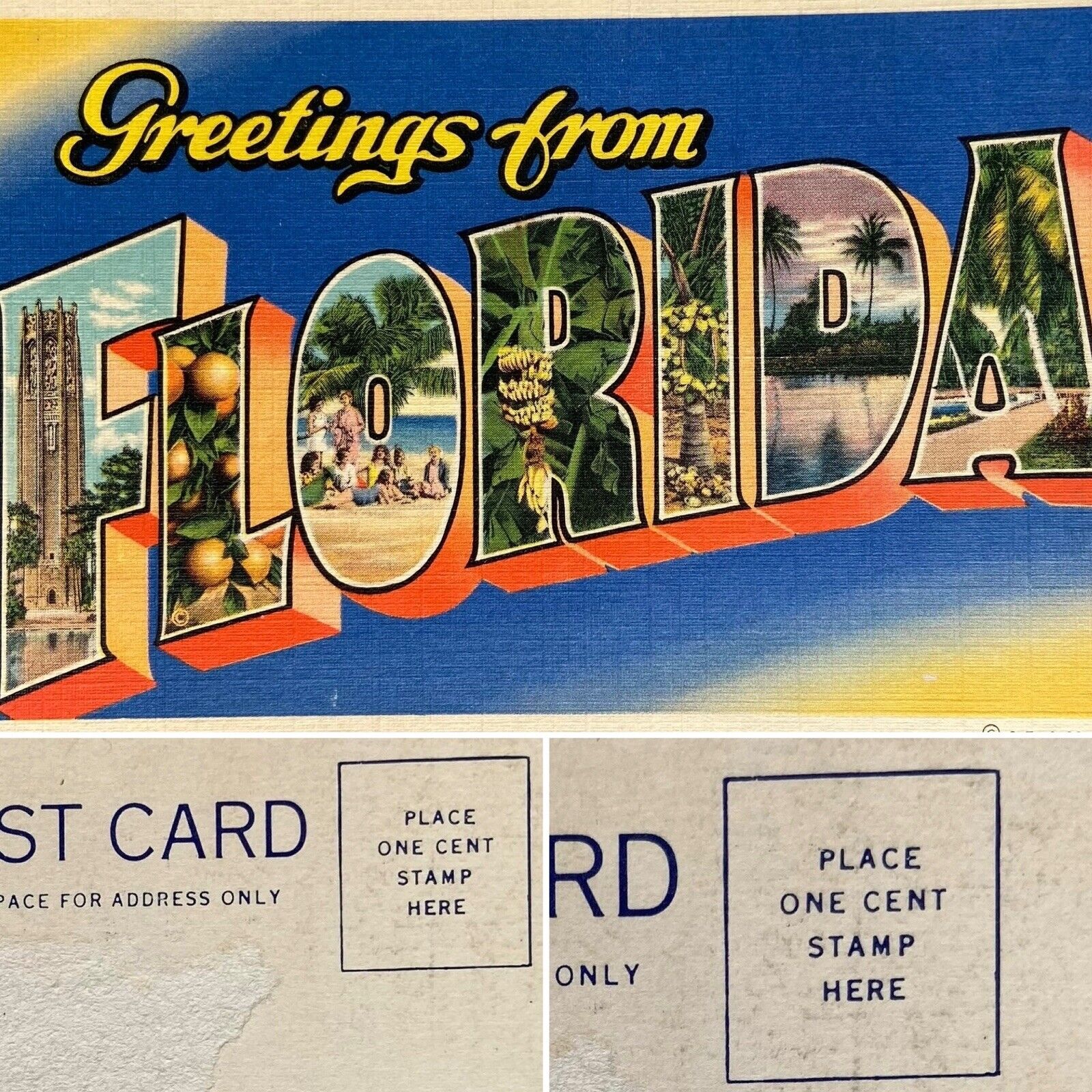 Postcard FL Large Letter Greetings from Florida Curt Teich Linen 1934