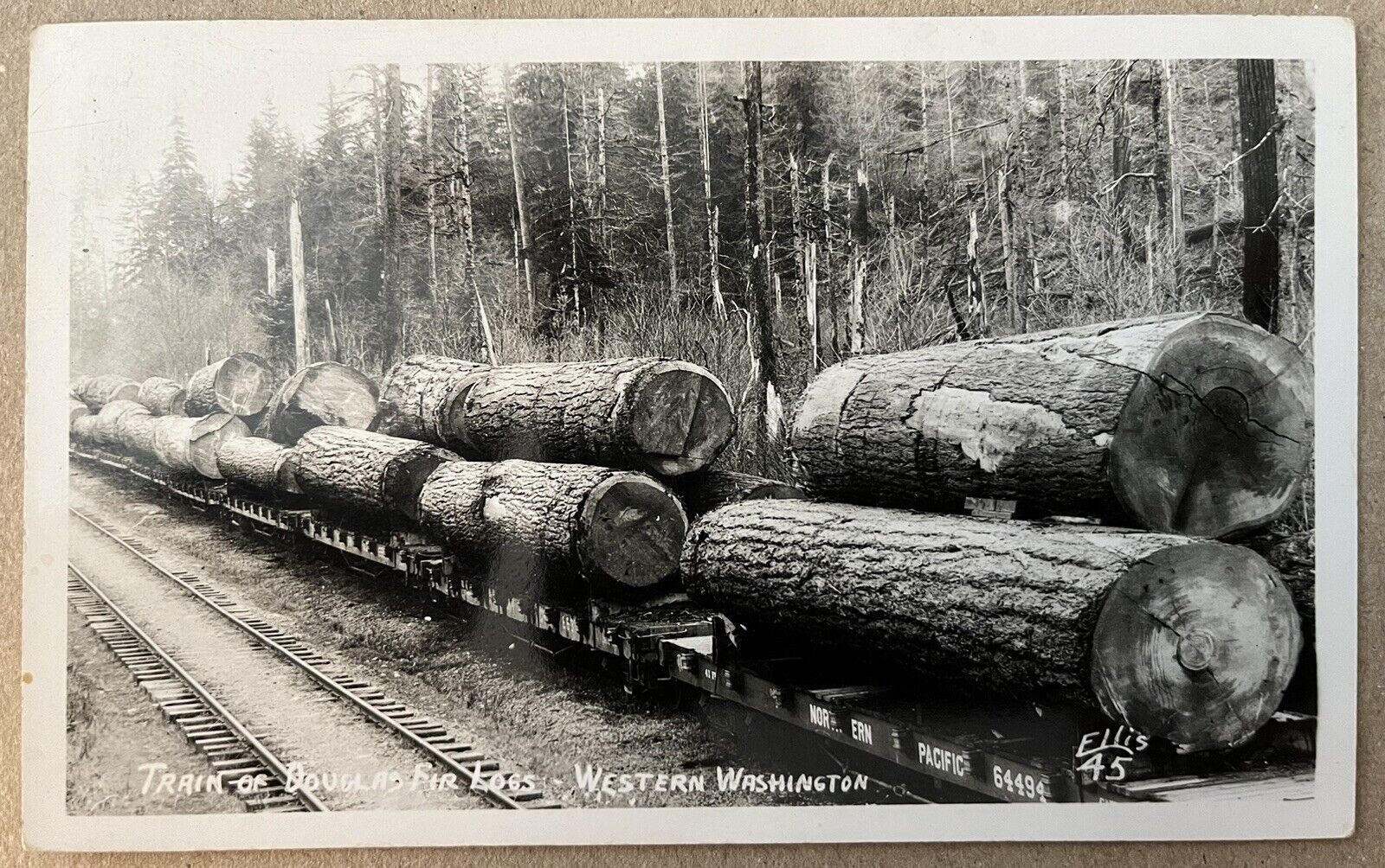 RPPC Northern Pacific Railroad Logging Train Washington State Postcard Signed