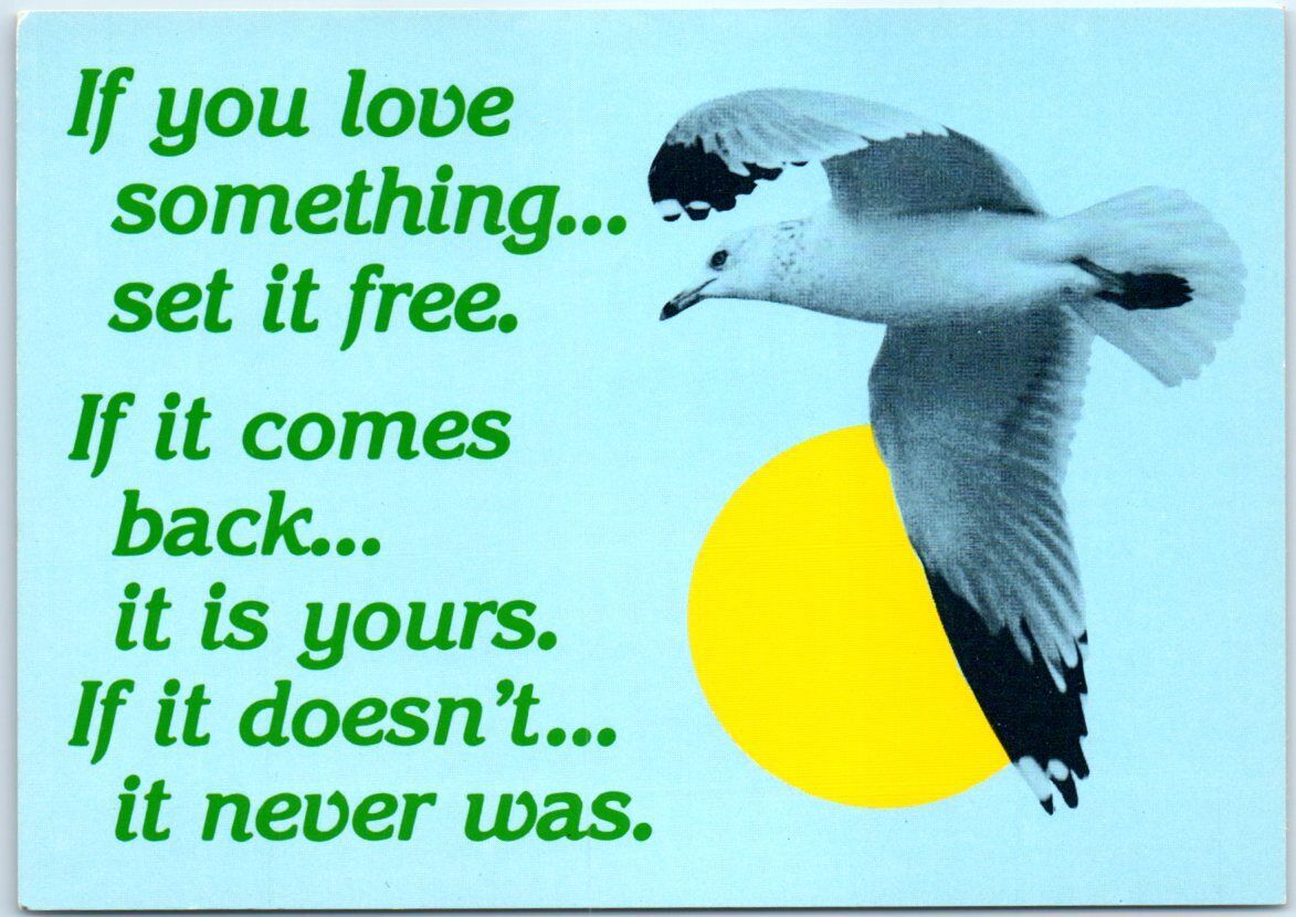 Postcard - Love/Romance Quote with Seagull