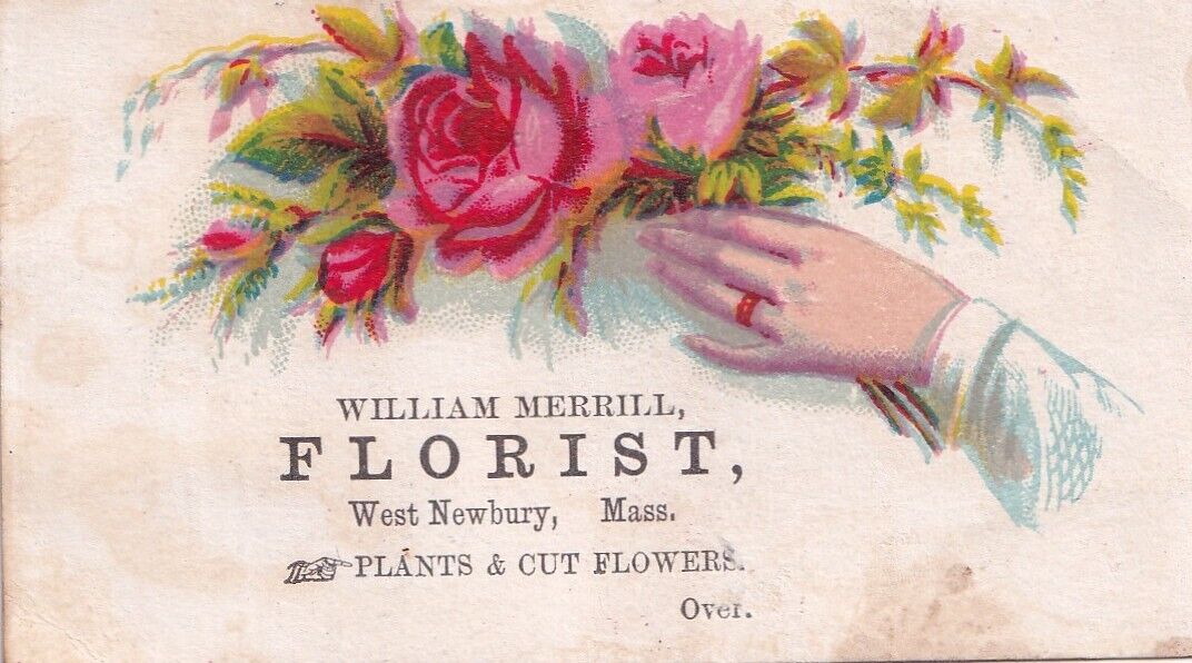 Small 1800\'s Victorian Trade Card -Hidden Hand -Crane Neck Greenhouses Florist
