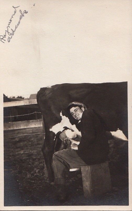 RPPC Postcard Man Milking Cow c. 1930s