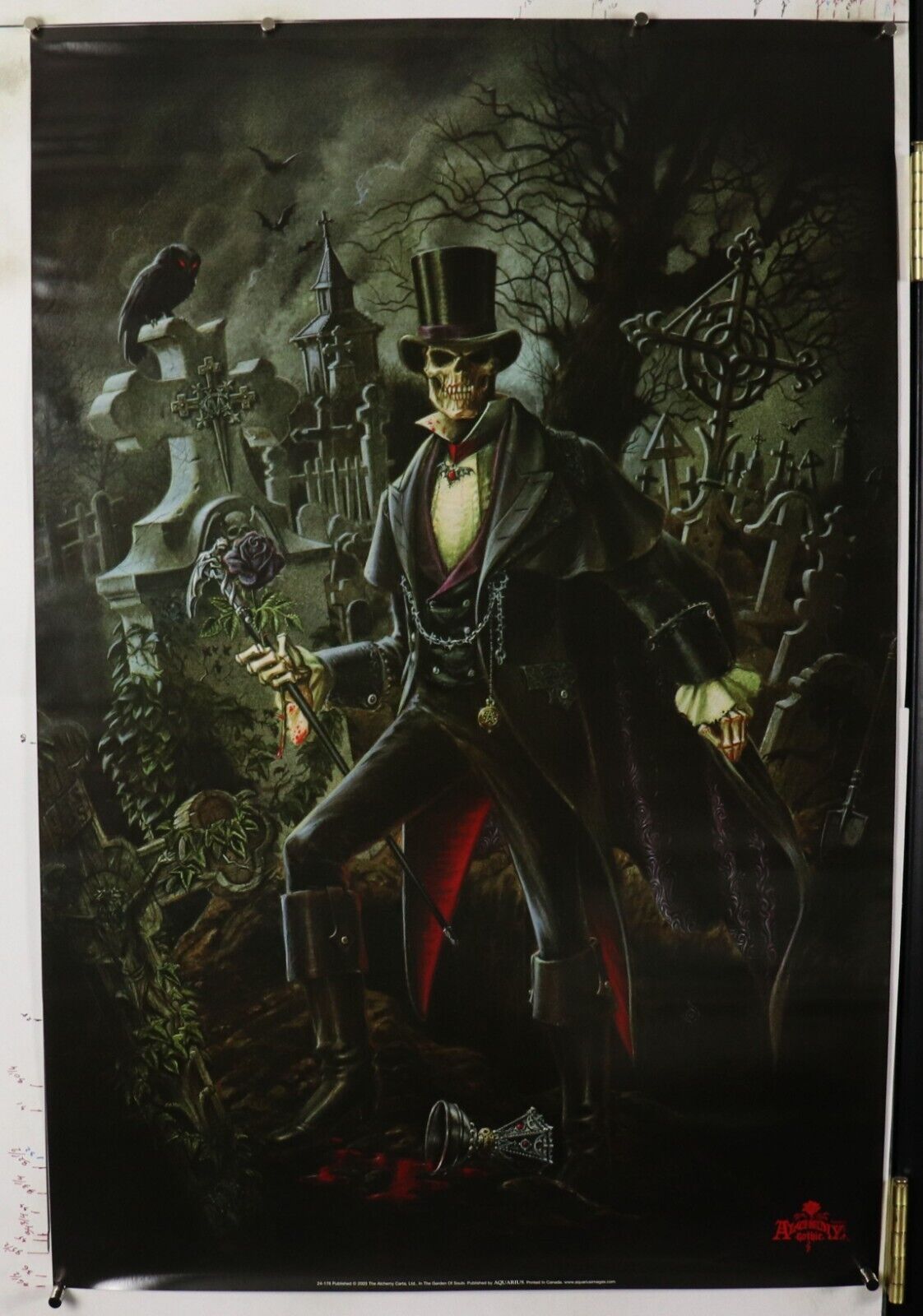 In The Garden of Souls Alchemy Gothic Fantasy Poster 24.25\