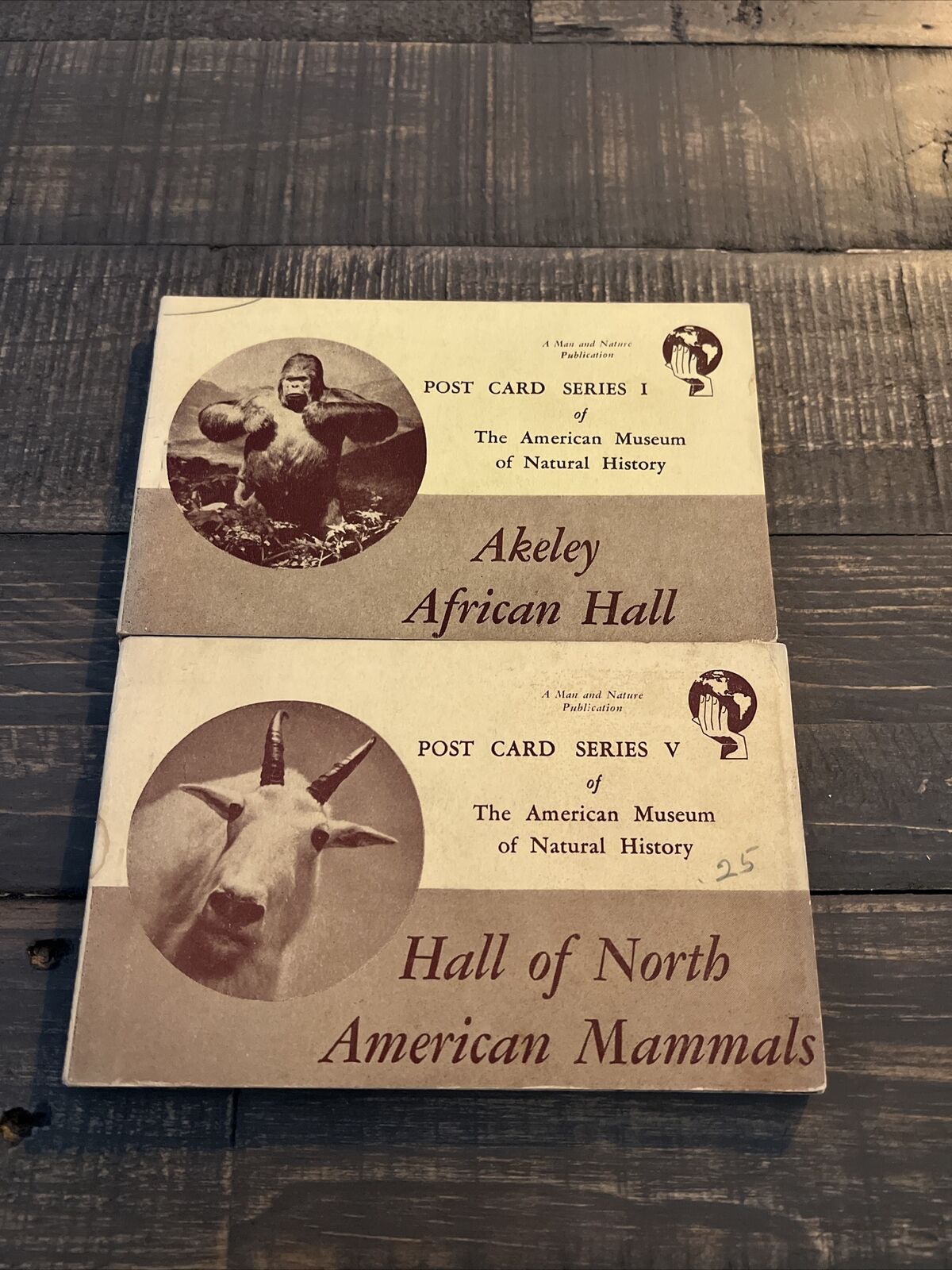 Post Card Books ︱Set of 2 Books ︱ The American Museum of Natural History ︱NY