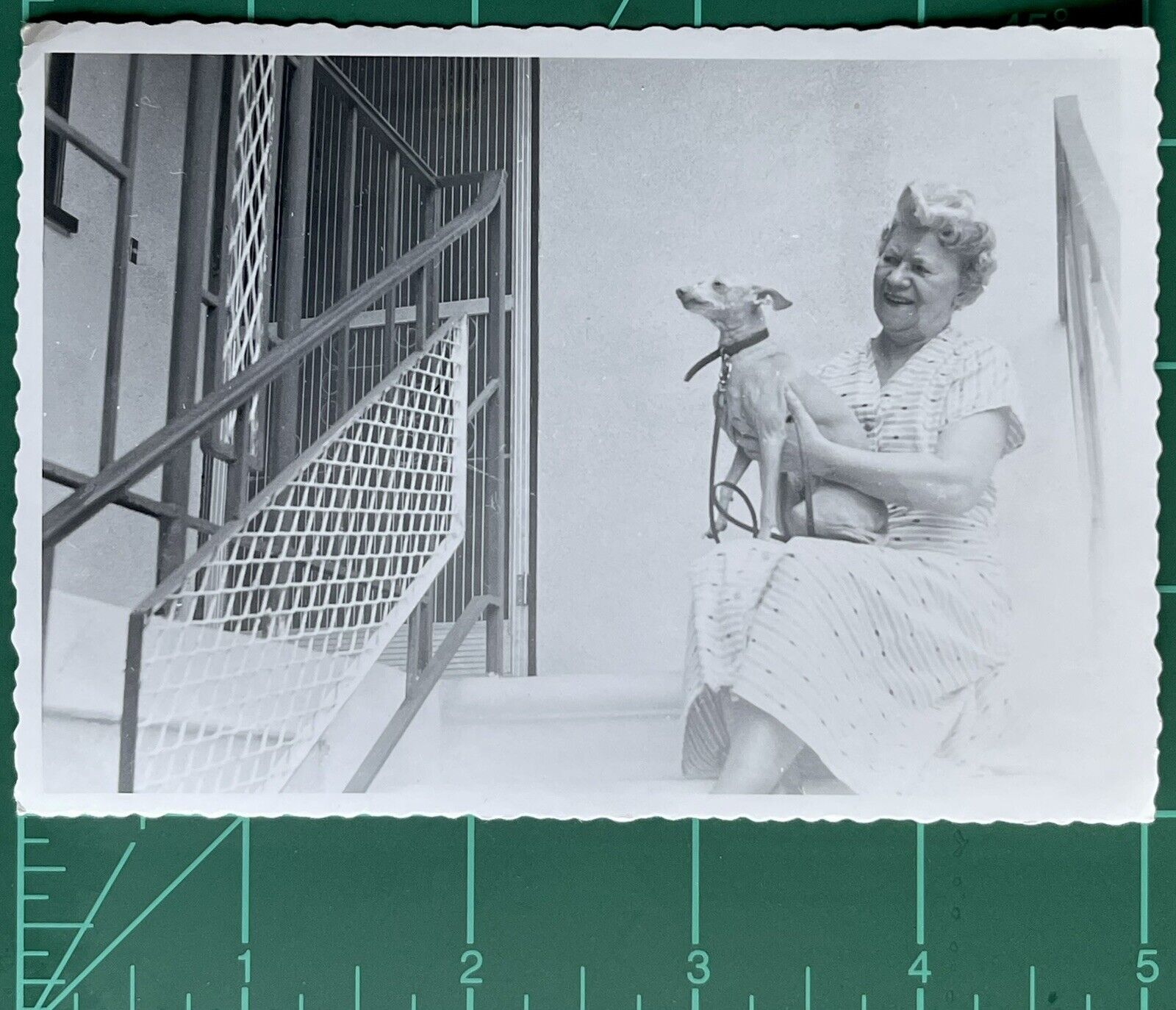 Vintage Photo Black White Snapshot Of An Older Lady With Her Cute Dog