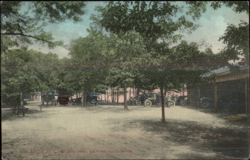 Centreville Cape Cod MA Grove at Camp Opechee c1910 Postcard