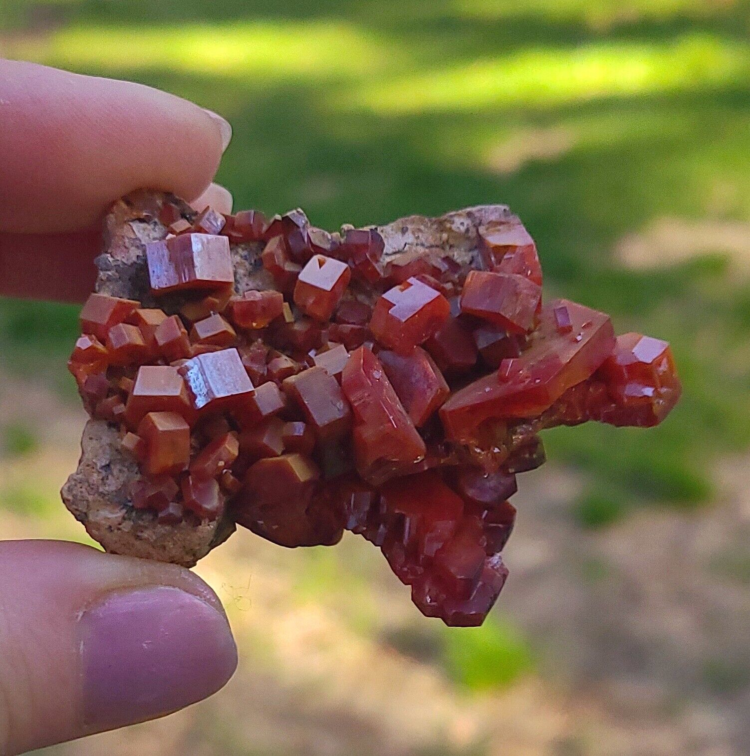 Vanadinite Large Bright Red Hoppered Crystals On Matrix From Morocco   6.4 Cm\'s