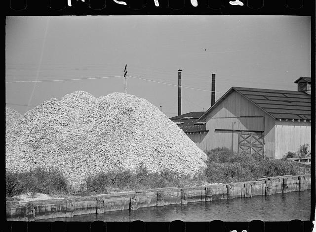 Pile of oyster shells Shellpile New Jersey 1930s Historic Old Photo 1