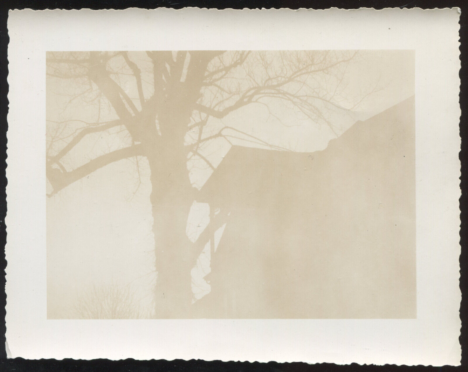 FOUND PHOTO Creepy Silhouette of House and Tree Odd Unusual Strange Snapshot VTG