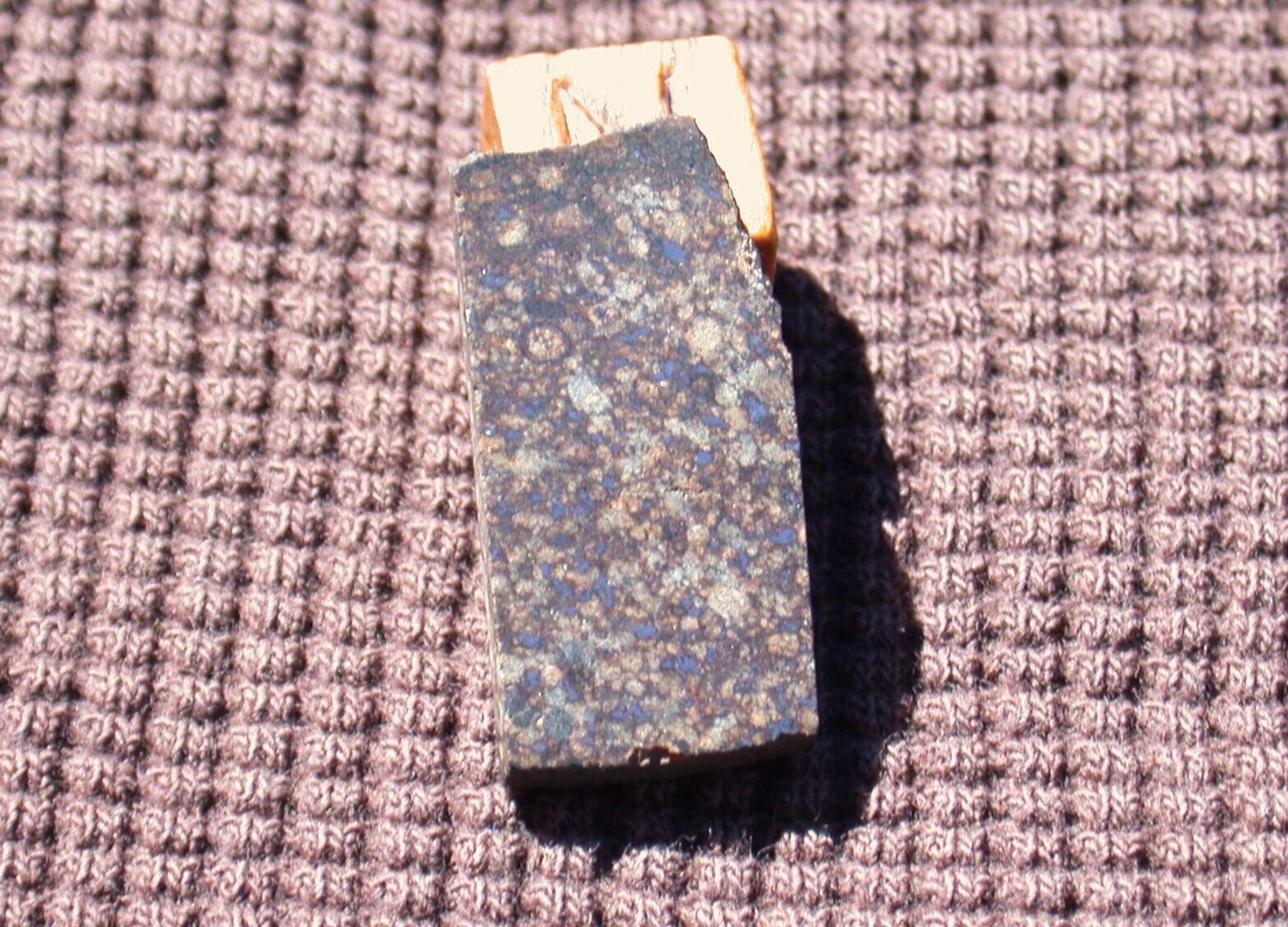 NWA 13447 (H3) - 2.37 gram meteorite part slice - ARMOURED CHONDRULES 