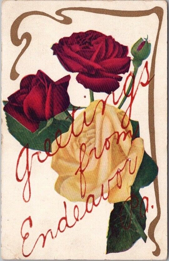 Vintage 1909 ENDEAVOR, Pennsylvania Greetings Postcard Red & Yellow Roses