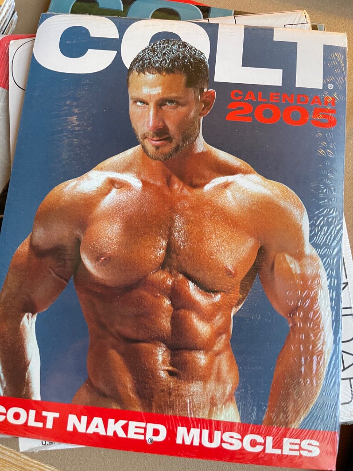 COLT STUDIOS Men NAKED MUSCLES Calendar 2005 Gay Art Muscle Adult New SEALED