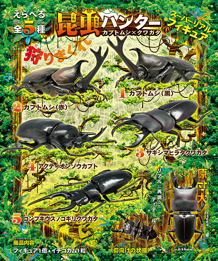 F-toys Insect Hunter Vol 18 Beetle x Stag Beetle Elephant Dorcus Titanus Set
