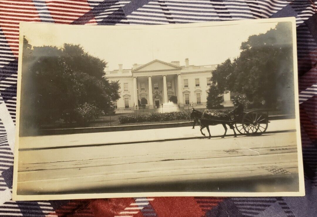 Incredible Real Photo Postcard Of White House with Horse And Carriage In Front