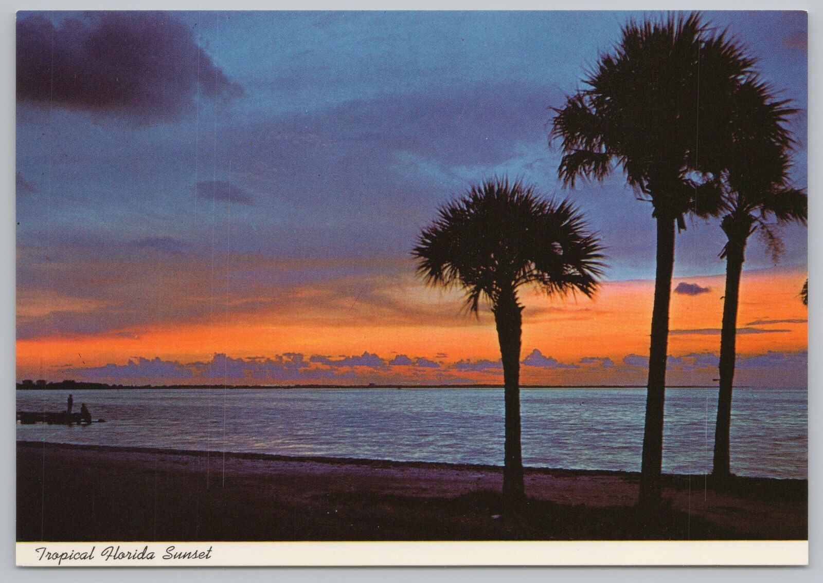 Florida~Tropical Sunset~Palm Tree Silhouettes~Continental Postcard