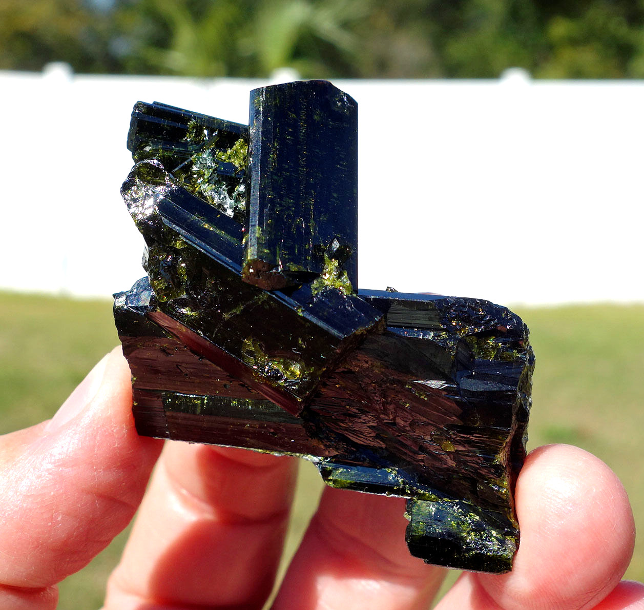 Green EPIDOTE Crystal Cluster Pakistan Specimen NEW Old Stock For Sale NOS 9510