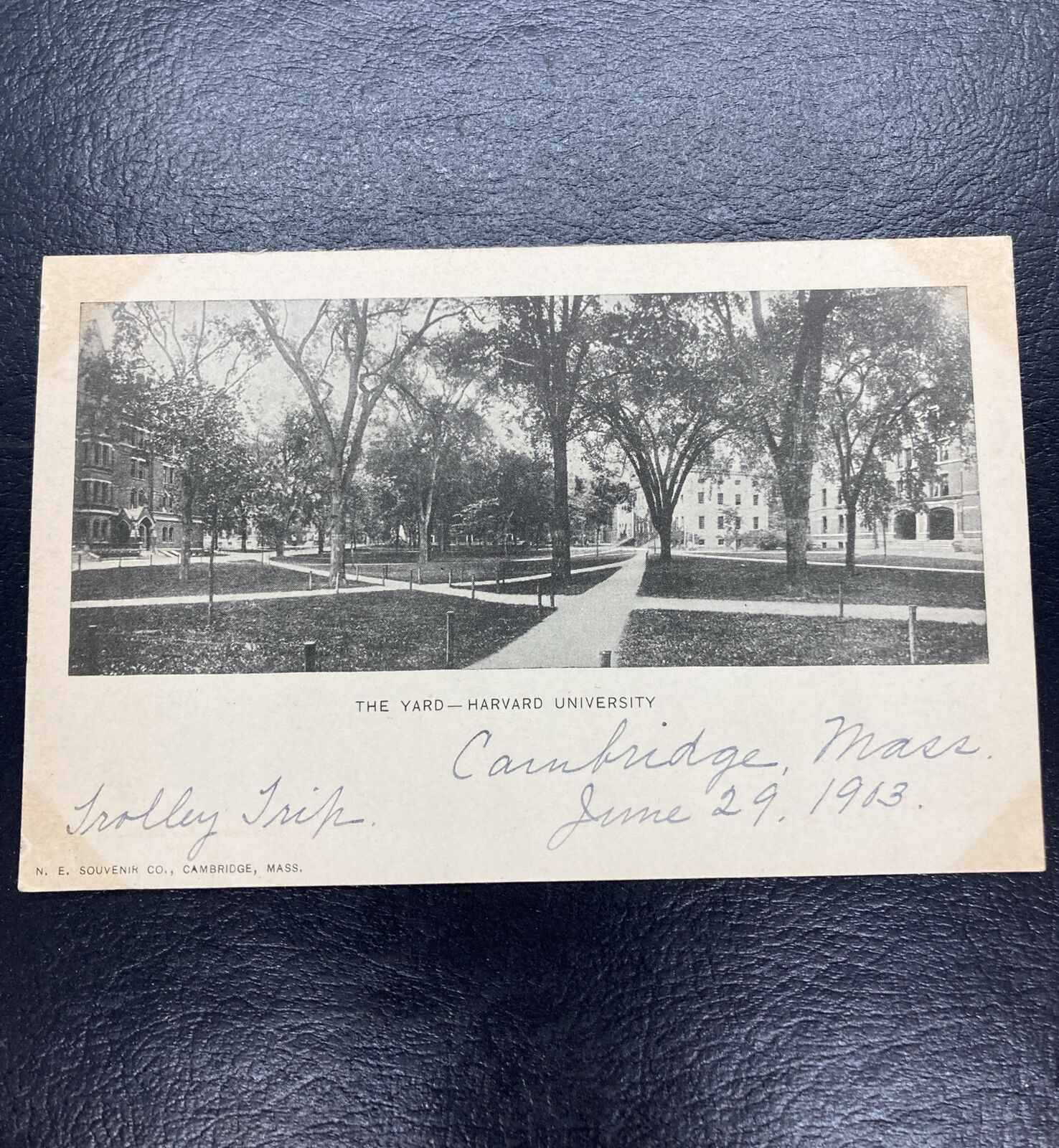 c.1901-07 The Yard Harvard University Postcard   Unposted