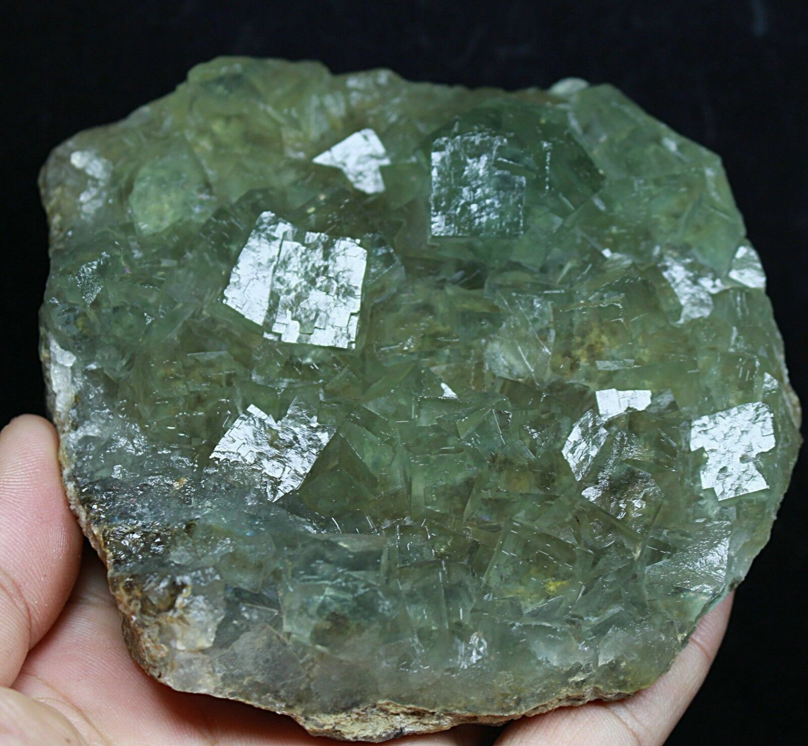 1.11lb Natural beauty rare translucent green cube fluorite mineral specimen