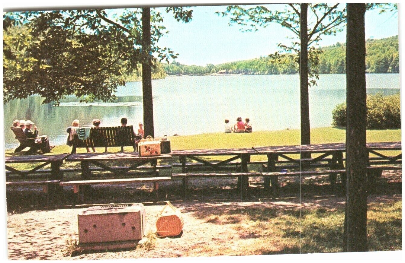 Postcard Greetings from Saugerties New York State Park Lake Picnics Baskets