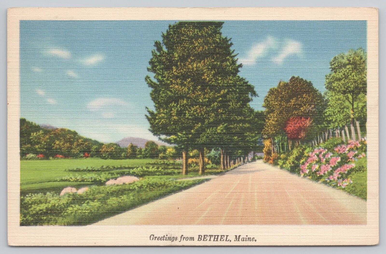 Bethel Maine, Greetings, Country Road Scenic View, Vintage Postcard