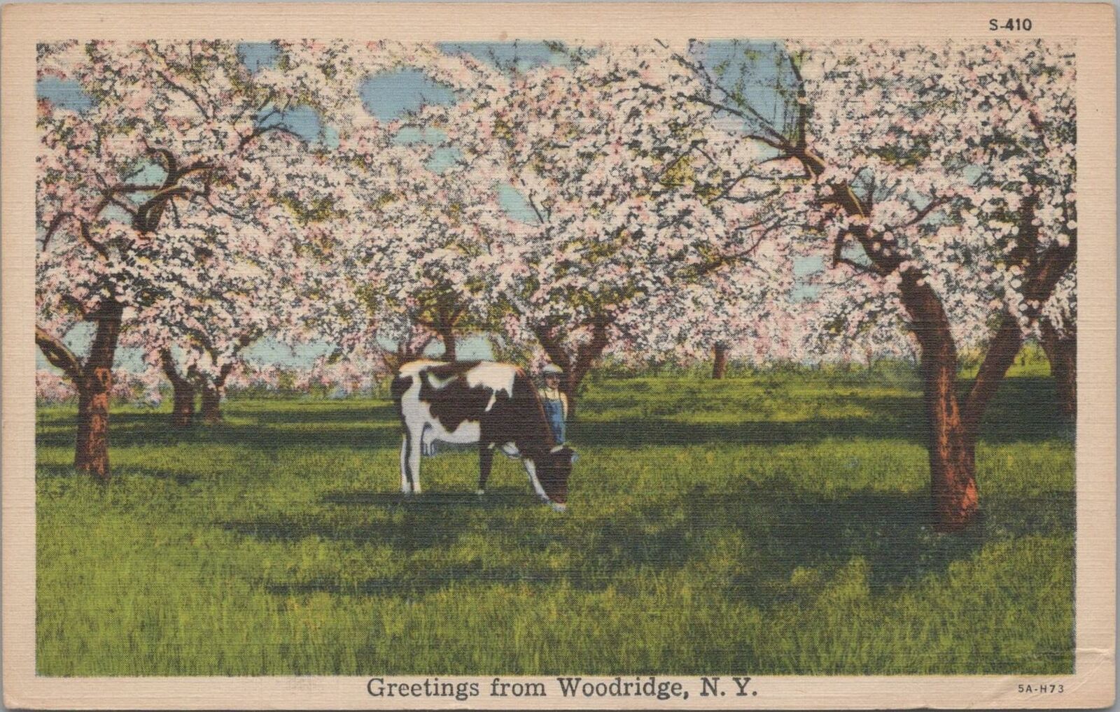 Postcard Greetings from Woodridge NY 