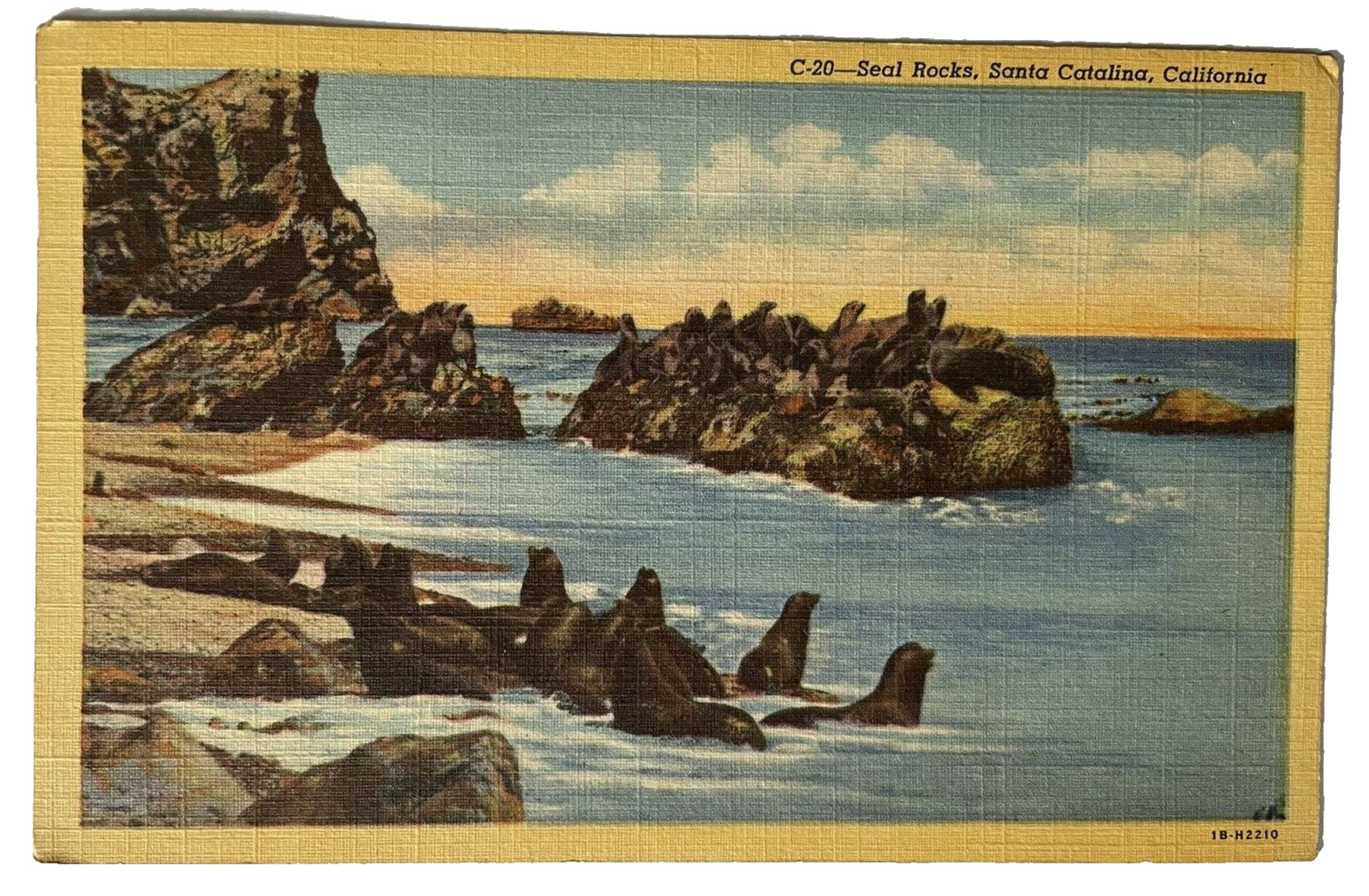Seal Rocks CA Linen Postcard C-20 C. T. Art Santa Catalina