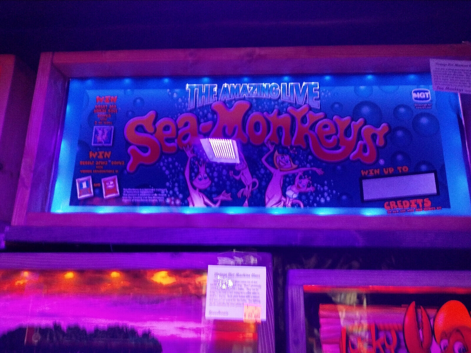 Sea Monkeys (Vintage Slot Machine Glass) Framed & Backlit
