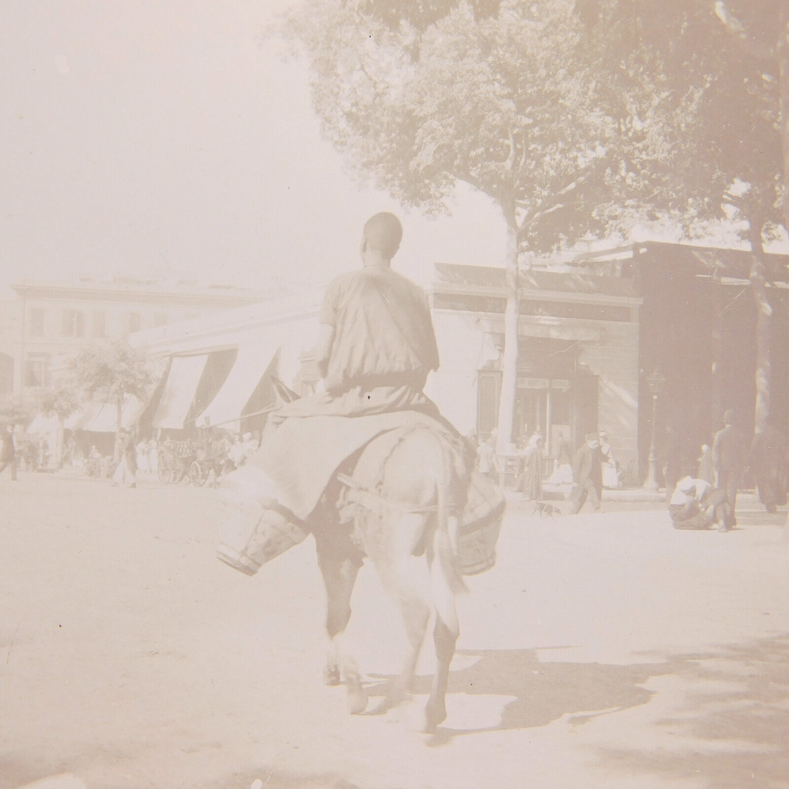 c.1900s Glass Plate Image Man riding Horse  Cairo Egypt 3-1/4x4