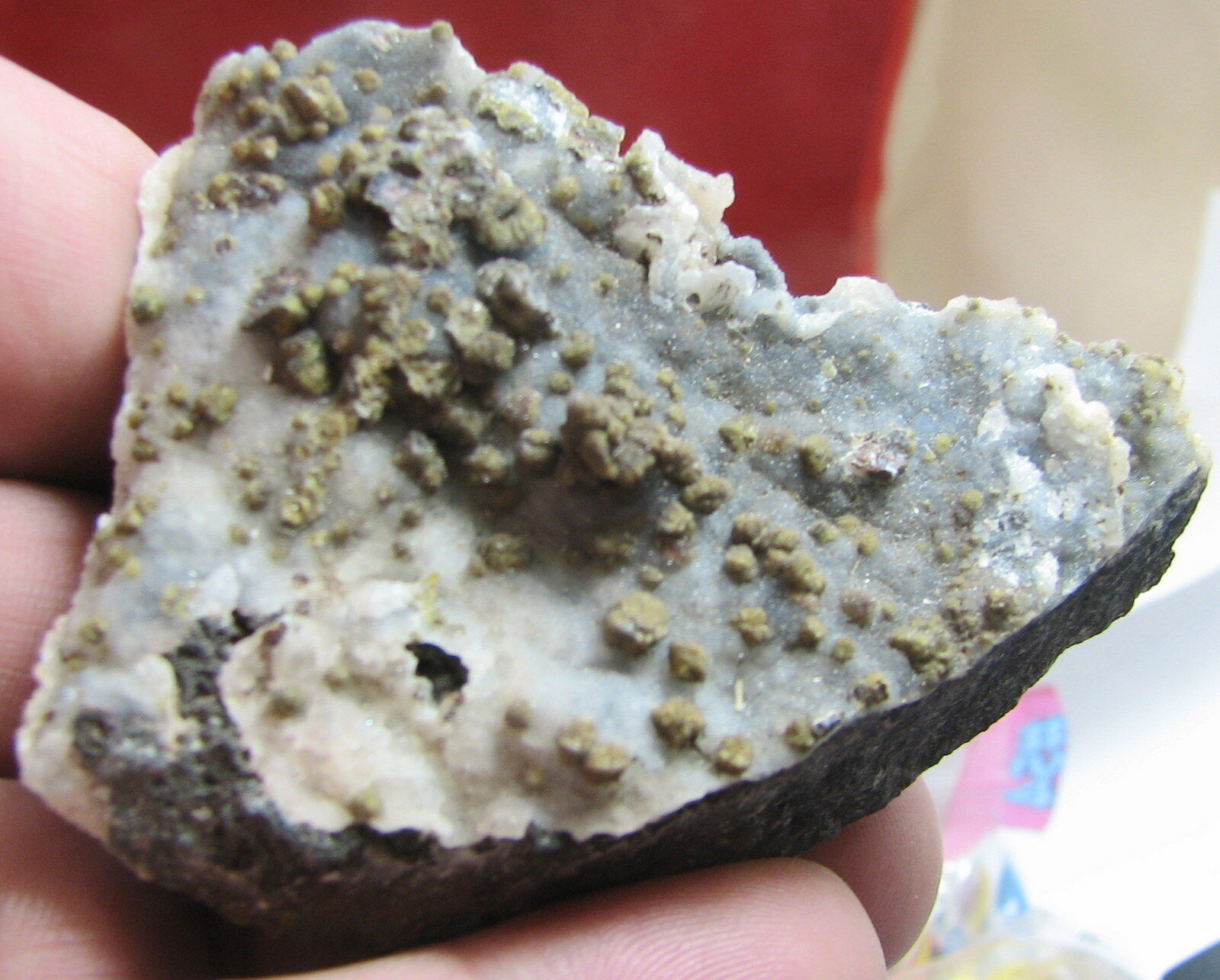 Mottramite and Descloizite from Summit Mine, Montana. 7.3 cm