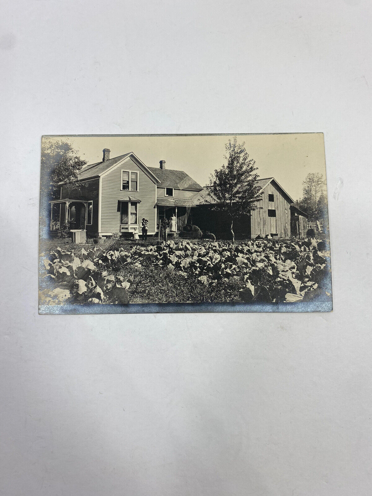 Antique Picture Photo Postcard Architecture Farmhouse Early 20th