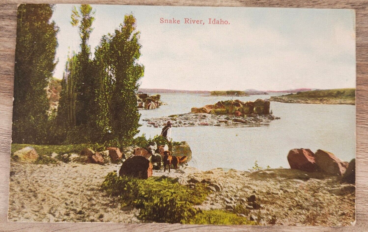 Snake River Beach Scene Man with dog Golden Retriever Posted 1915  Postcard
