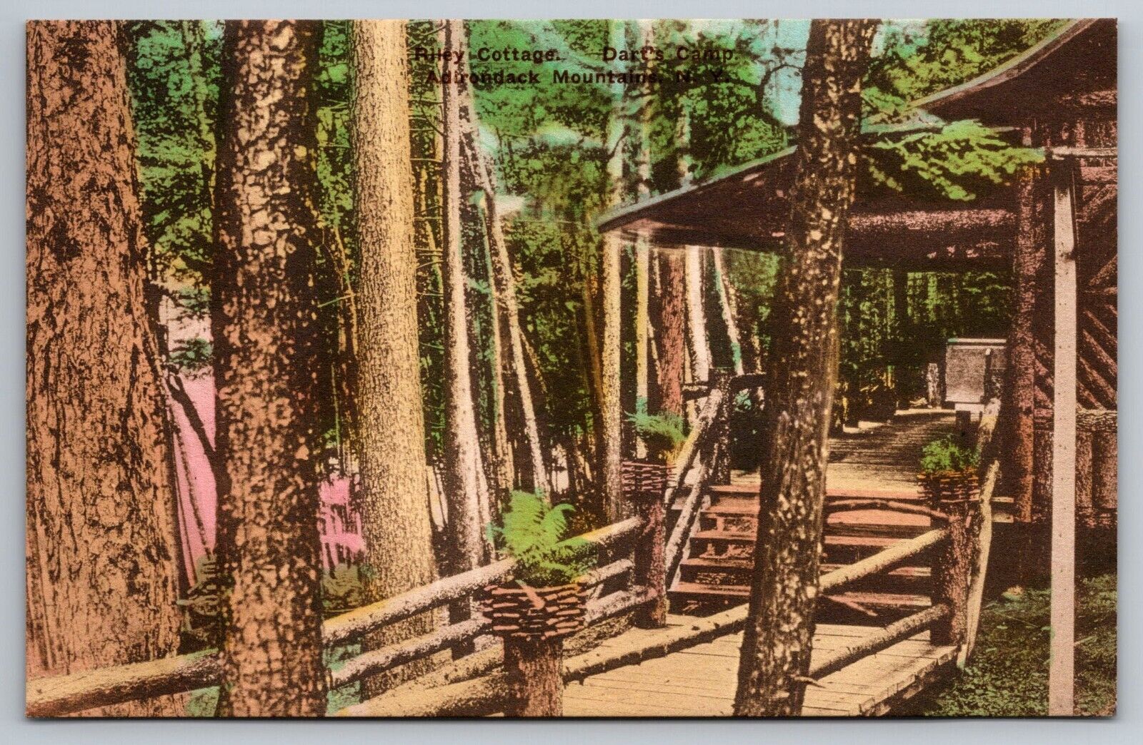 Riley Cottage. Dart's Camp. Adirondack Mountains, Eagle Bay NY Vintage Postcard