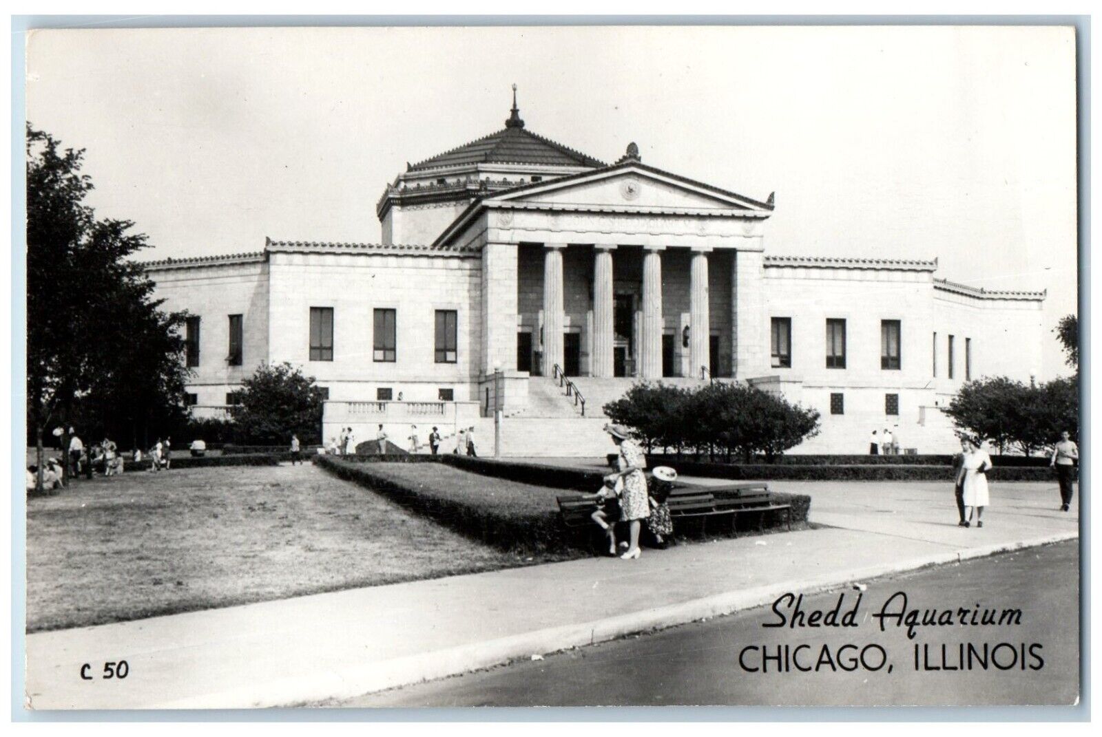 Chicago Illinois IL Postcard RPPC Photo Shedd Aquarium Scene Street c1940\'s