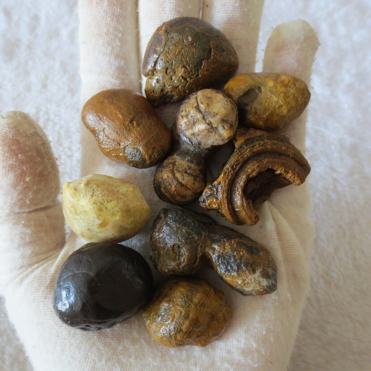 G586  143g Natural Desert Gobi  Agate Suiseki Rocks Stones Minerals Specimen