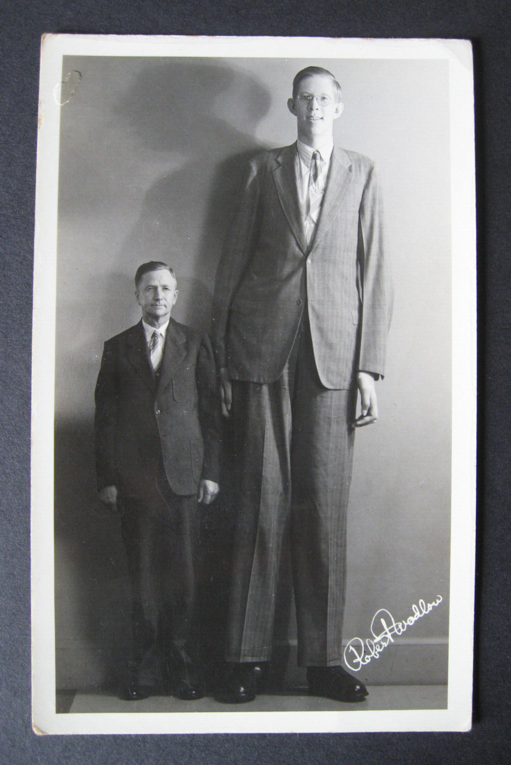 rppc : ROBERT WADLOW photo & autograph  /  tallest man 8\' 11\