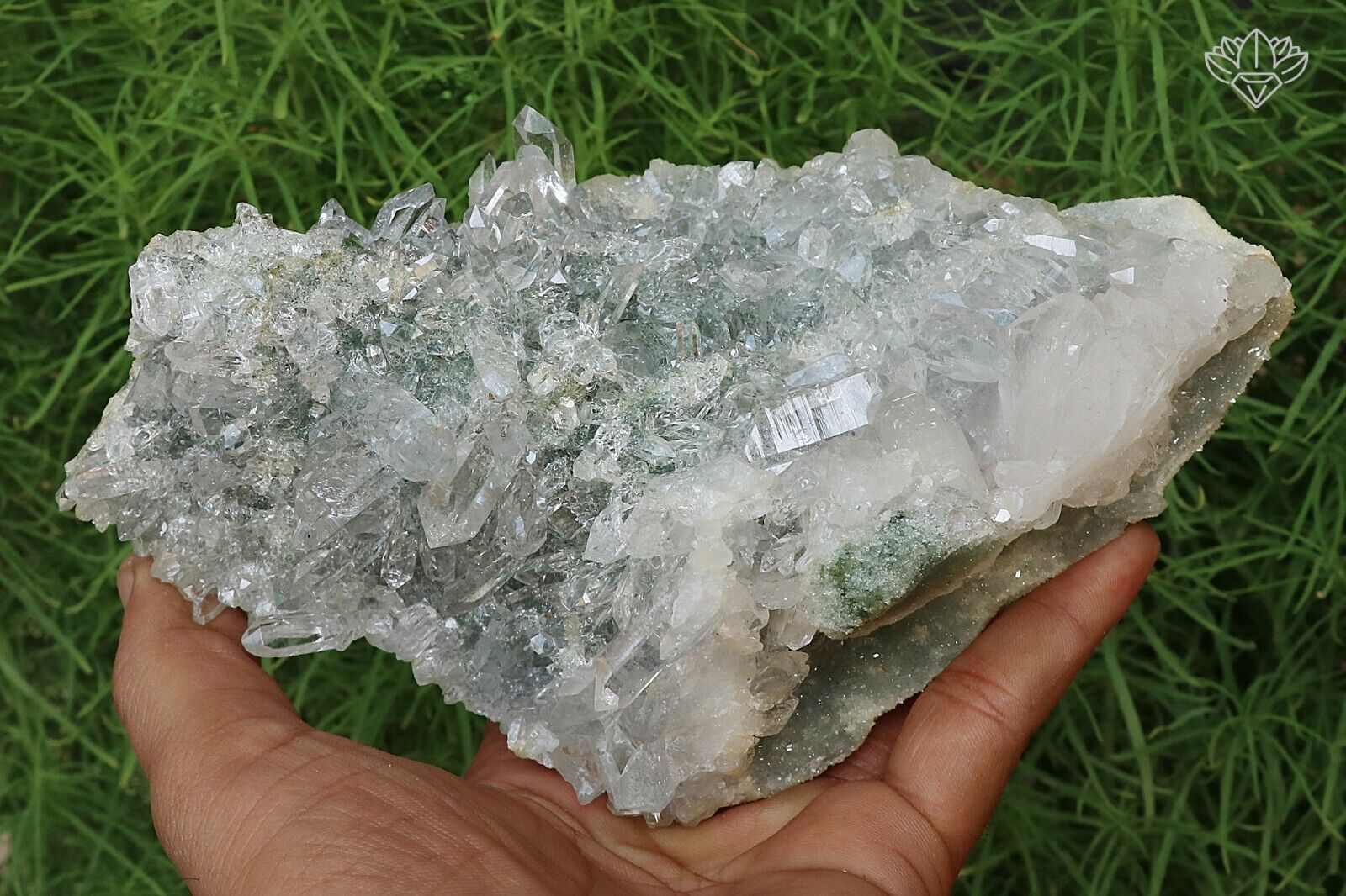 High Grade Himalayan Green Chlorite Rough Healing Crystal 1.105 Kgs Minerals