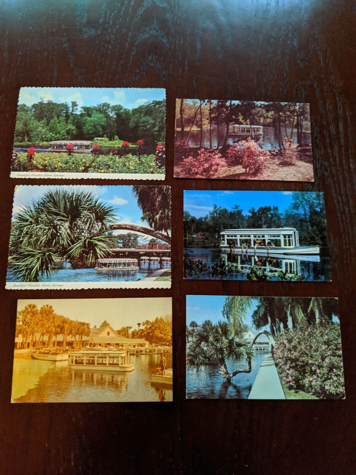 6 Vintage Silver Springs Florida FL Postcard Lot Travel Parks 