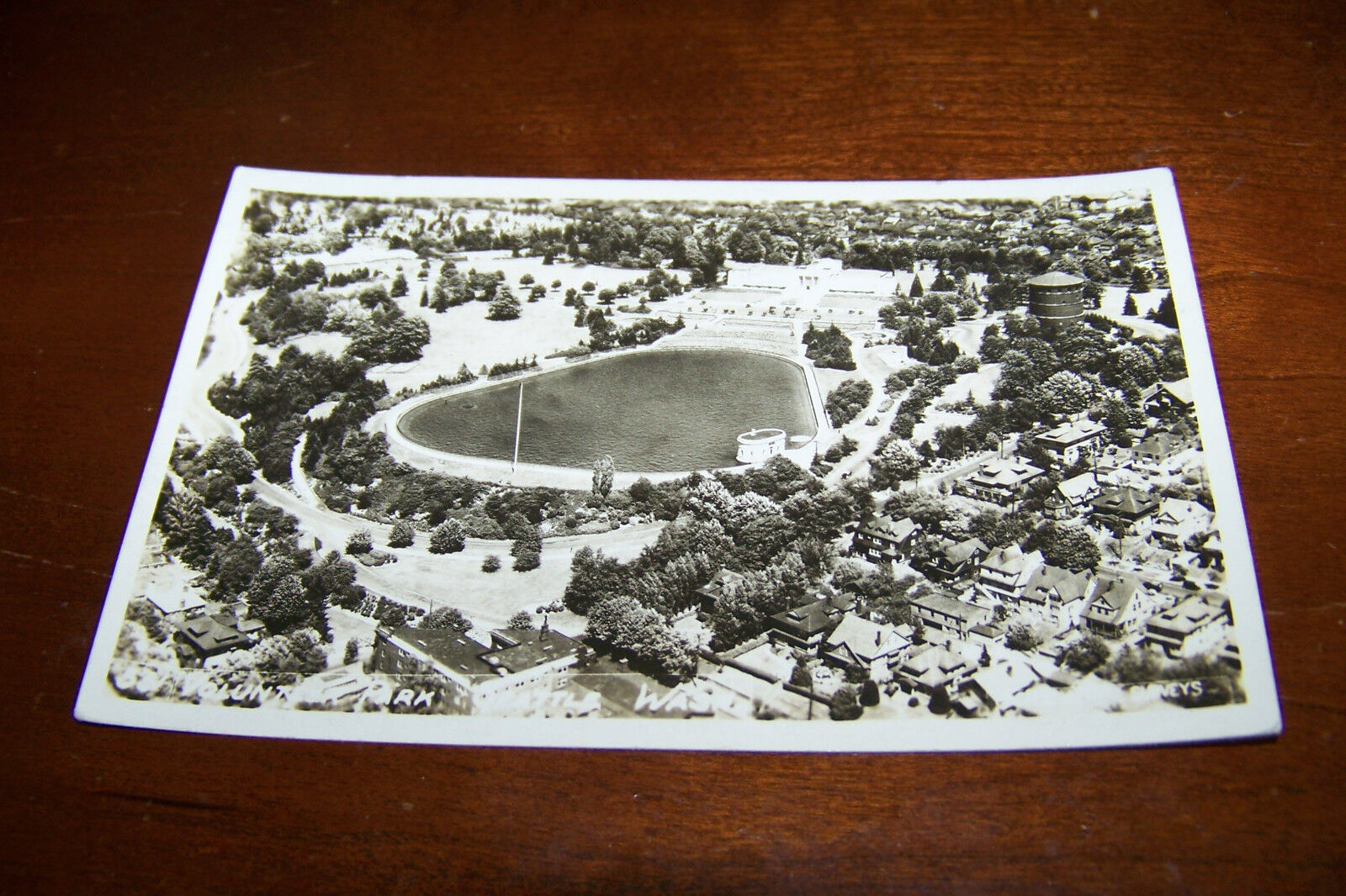 Rare Antique RPPC Real Photo Postcard DOPS 1925-1942 Seattle Washington Park